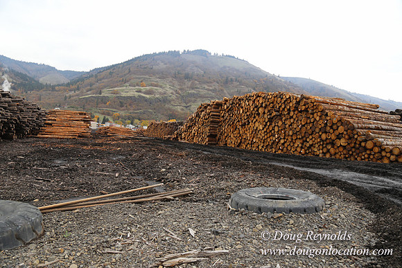 SDS Lumber-1429