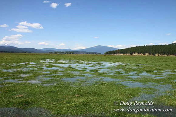 2500 Acres of green fields Creeks water crossing Bridges on a Large Lake and miles of Dirt roads Oak trees Forest land ATV Trails cows