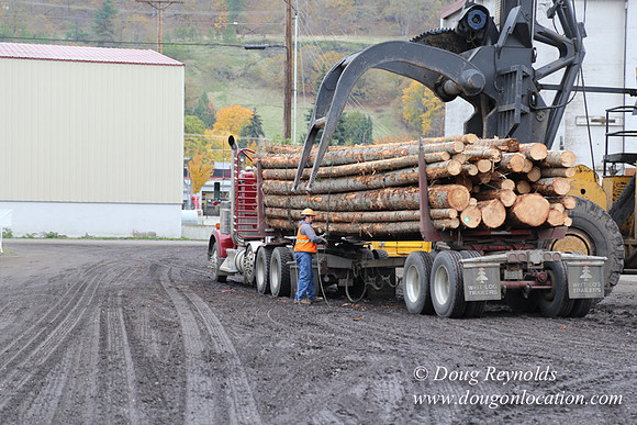 SDS Lumber-1463