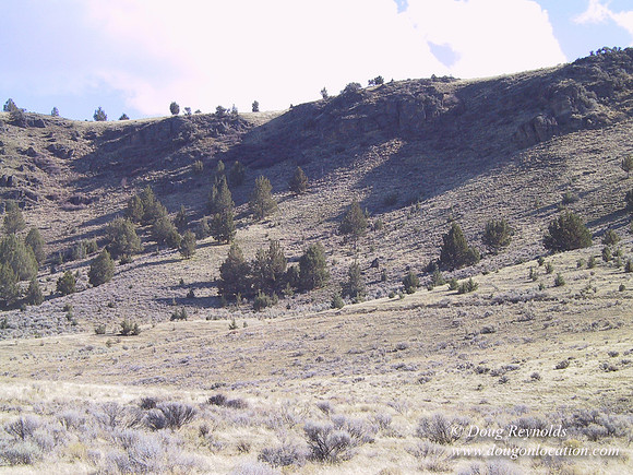 Ranch 7