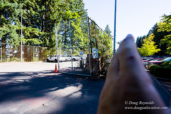 Washington Park Tennis Courts