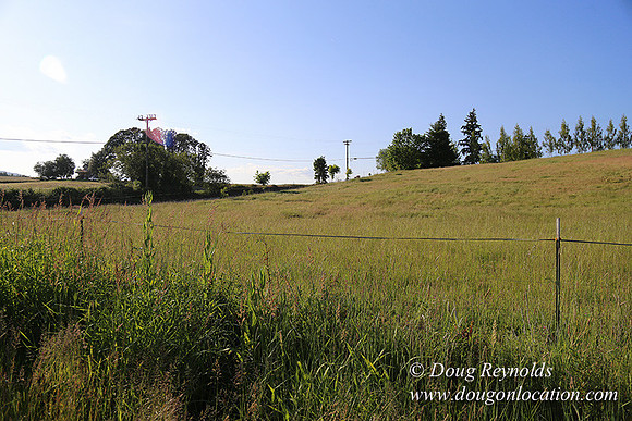 Moores Rd 1-7002