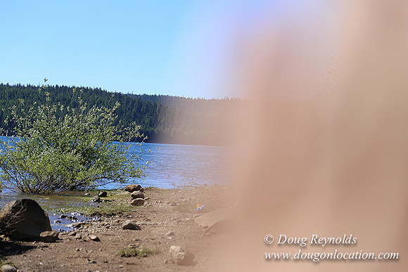 Clear Lake-3429