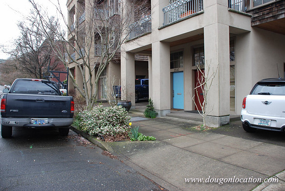 Upshur Rowhouses-0680