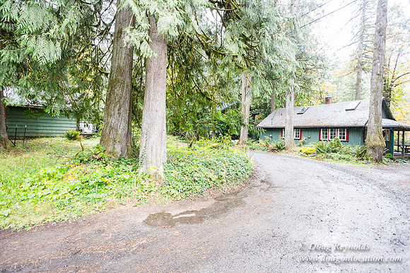 Collins Cabin