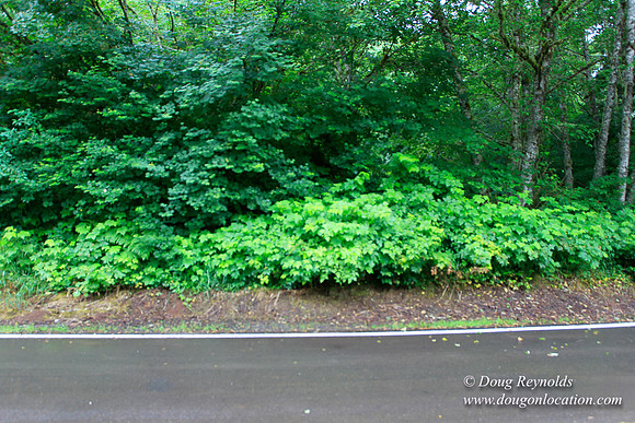 Brower Rd