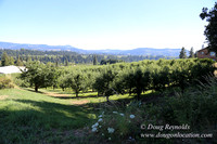 Portland Dr HdRv-8199