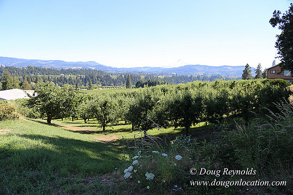 Portland Dr HdRv-8199