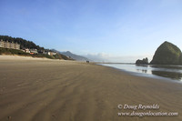 33 Beach CB5-1479