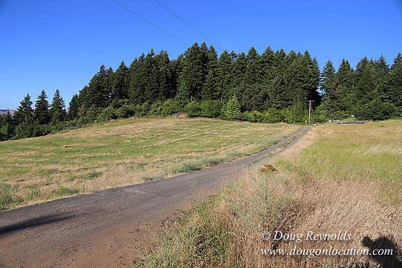 Both Hill Rd-8610