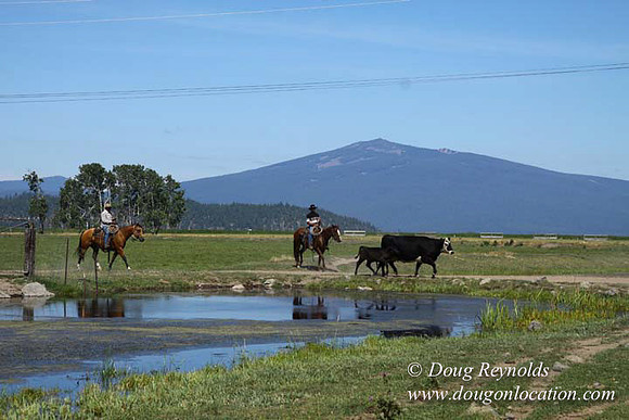 2500 Acres of green fields Creeks water crossing Bridges on a Large Lake and miles of Dirt roads Oak trees Forest land ATV Trails cows