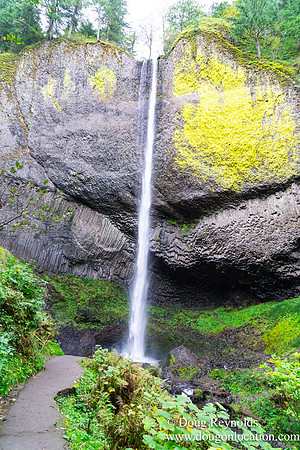 SNog Productions Sony 2016 Oregon