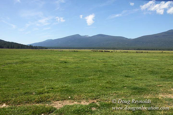 2500 Acres of green fields Creeks water crossing Bridges on a Large Lake and miles of Dirt roads Oak trees Forest land ATV Trails cows