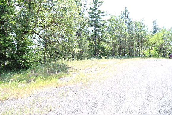 Canyon Rd 2-7958