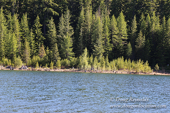 Clear Lake-3481