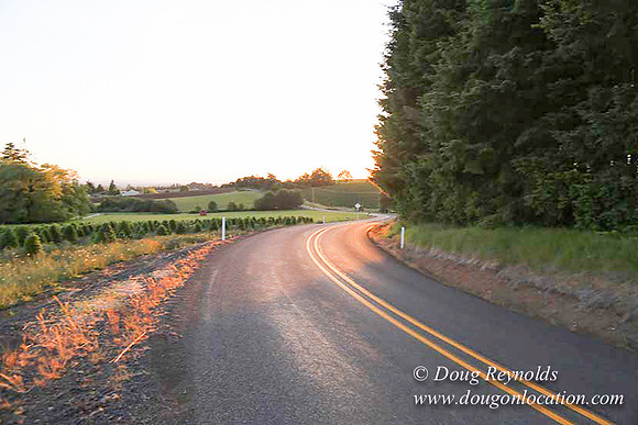 Hwy 214 M18-7650