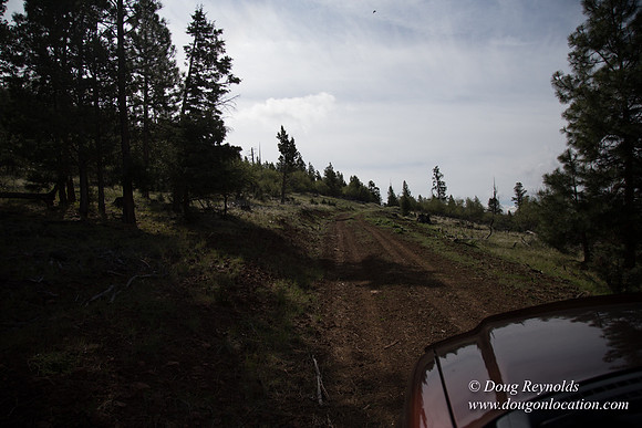 Ranch 18