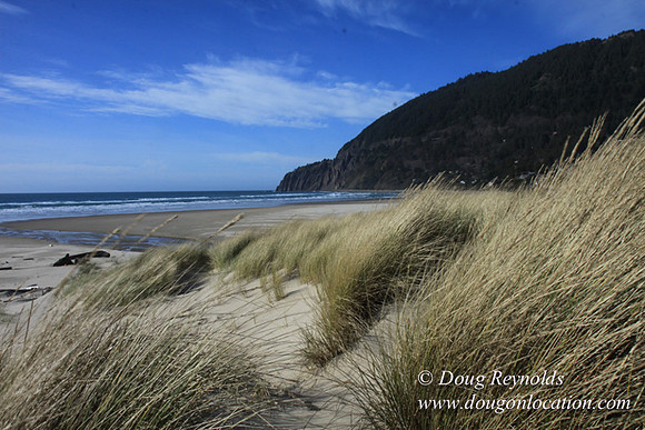 33 Beach MB3 Large Long Deep Sand Beach