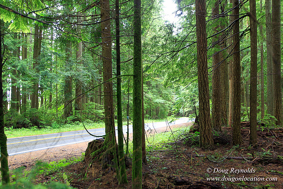 Larch Mt Rd