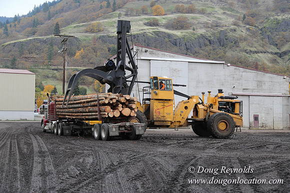 SDS Lumber-1466