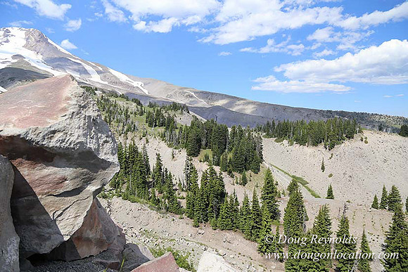 Timberline East rock-6778