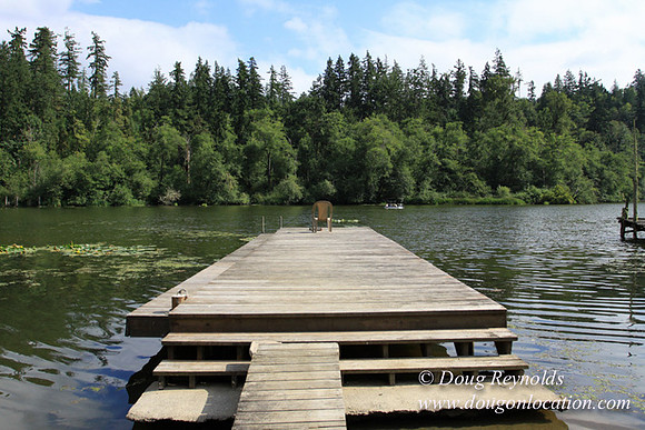 Roberts Lake House-4845