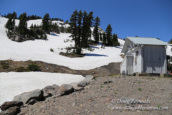 Medow's Snow-5711