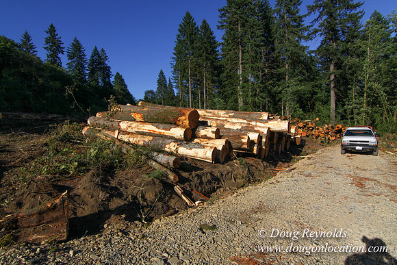 Craig Logging-3160
