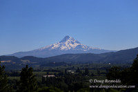 Panorama Point-8289