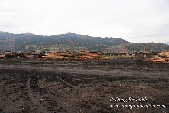 SDS Lumber-1410