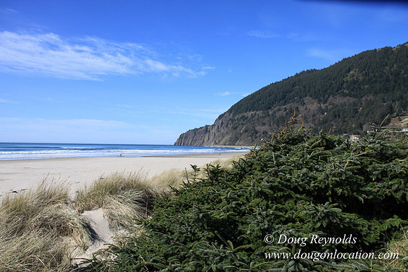 33 Beach MB3 Large Long Deep Sand Beach