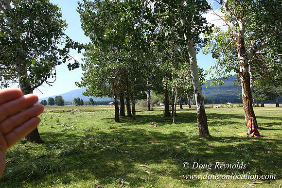 2500 Acres of green fields Creeks water crossing Bridges on a Large Lake and miles of Dirt roads Oak trees Forest land ATV Trails cows