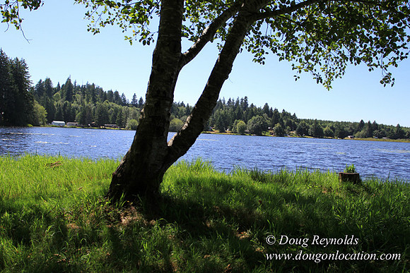 Richter Lake House-8420