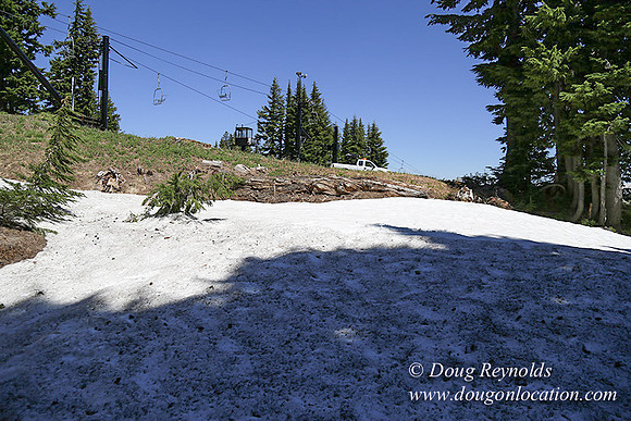 Medow's Snow-5654