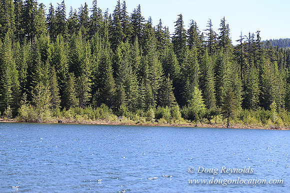 Clear Lake-3421
