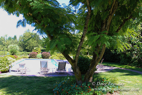 Jim’s Home Large beautiful traditional 2 story with large rooms. Modern kitchen and great room, and nook, large master suite, large entry with French doors. Well maintained grounds and garden, with la