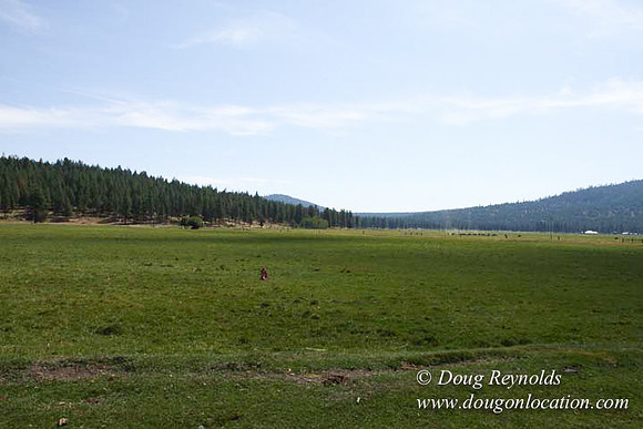 2500 Acres of green fields Creeks water crossing Bridges on a Large Lake and miles of Dirt roads Oak trees Forest land ATV Trails cows