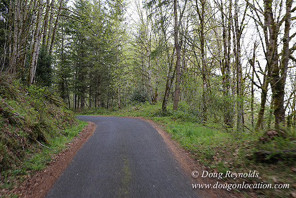 Brians Rd to the Gate-0295