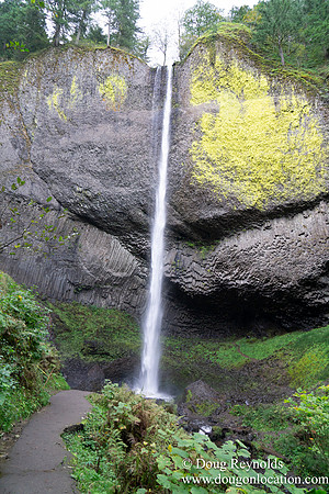 SNog Productions Sony 2016 Oregon