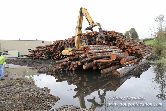Saw Mill and Lumber Yard