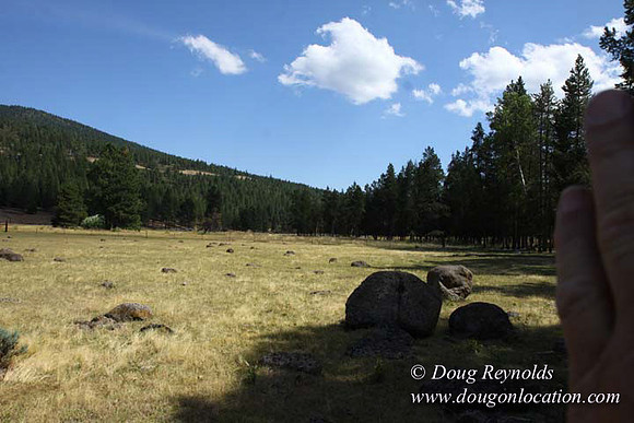 Ranch 18 South side of Hwy  has 2500 Acres of green fields Creeks water crossing Bridges on a Large Lake and miles of Dirt roads Oak trees  Forest land ATV Trails cows