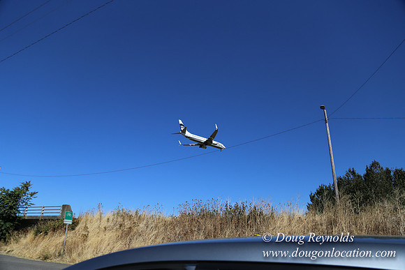 West End S Runway-4923