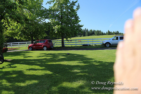 "2 Barns", "2 car garage", "40+ Acres", "PDX Zone", Pool, "White Fence", cows, "farm House", "rap around dive", "well maintained"