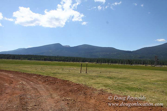 Ranch 18 South side of Hwy  has 2500 Acres of green fields Creeks water crossing Bridges on a Large Lake and miles of Dirt roads Oak trees  Forest land ATV Trails cows