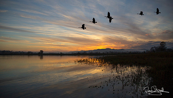 Furn Hill Pond at Sunset