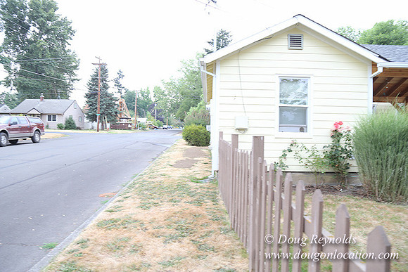 Nathan's Backyard-1691