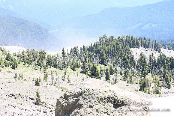 Timber Line-5563