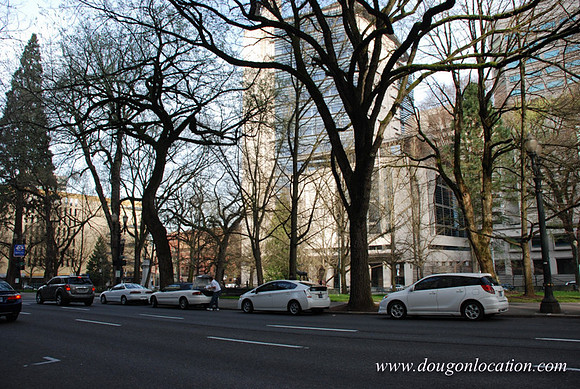 Chapman Square-0463