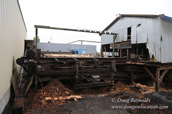 Saw Mill and Lumber Yard