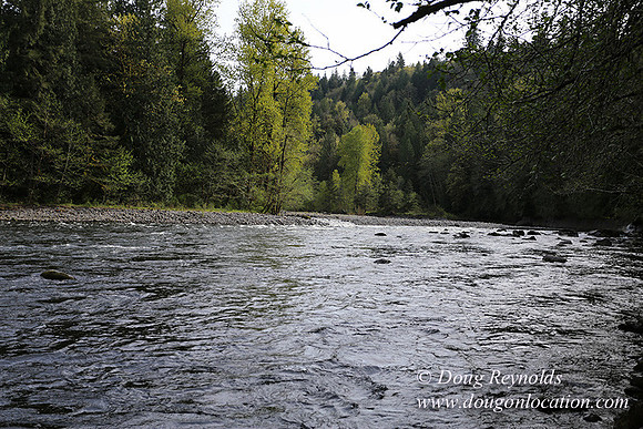 Brians River Side-0019